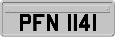 PFN1141