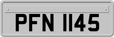 PFN1145