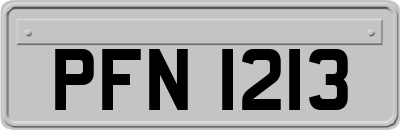 PFN1213