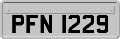PFN1229