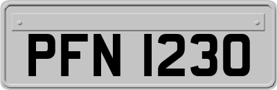 PFN1230