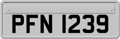 PFN1239
