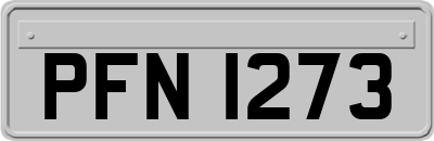 PFN1273