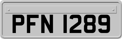 PFN1289