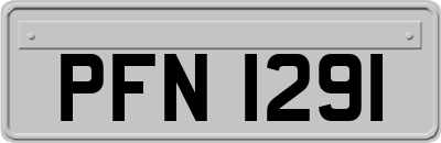 PFN1291