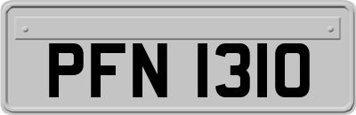 PFN1310