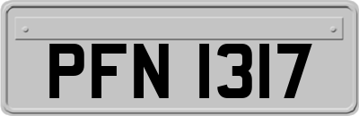 PFN1317