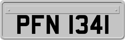 PFN1341