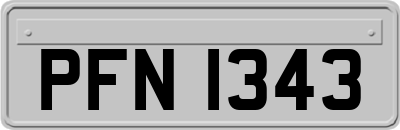 PFN1343