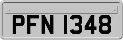 PFN1348
