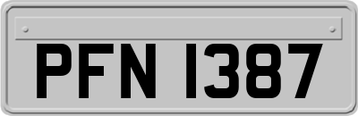 PFN1387