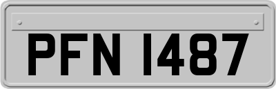 PFN1487