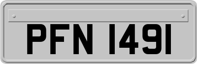 PFN1491