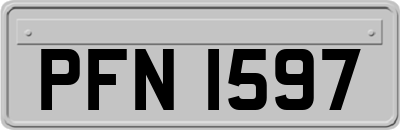PFN1597