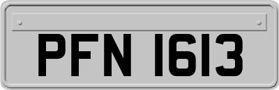 PFN1613