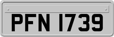 PFN1739