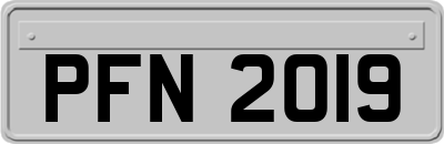 PFN2019