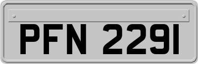 PFN2291