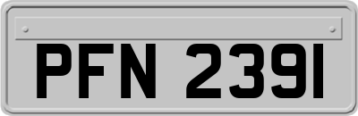 PFN2391