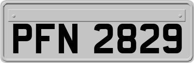 PFN2829