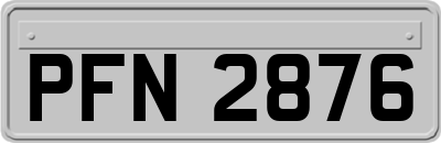 PFN2876