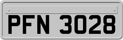 PFN3028