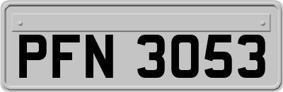 PFN3053