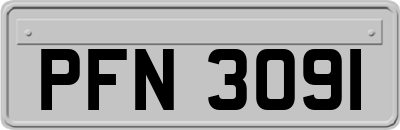 PFN3091