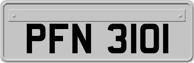 PFN3101