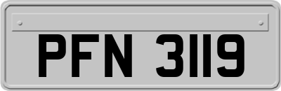 PFN3119