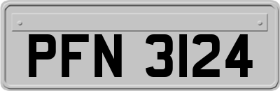 PFN3124