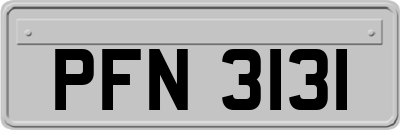 PFN3131