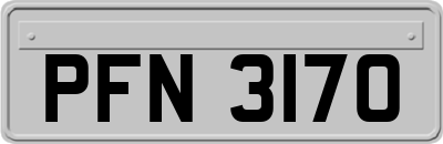 PFN3170