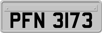 PFN3173