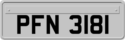 PFN3181