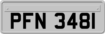 PFN3481