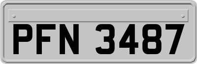 PFN3487