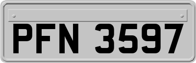 PFN3597