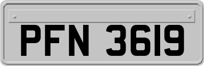 PFN3619