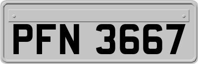 PFN3667