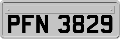 PFN3829