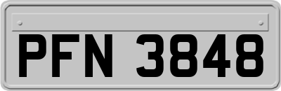 PFN3848