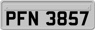 PFN3857