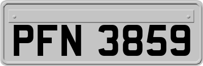 PFN3859