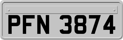 PFN3874