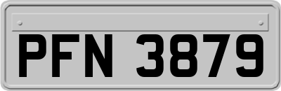 PFN3879