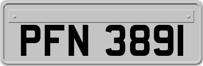 PFN3891
