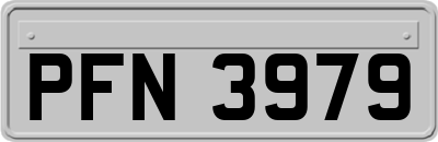 PFN3979