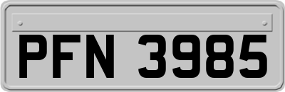 PFN3985