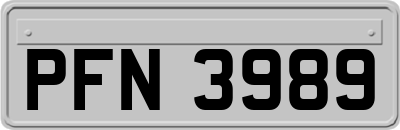 PFN3989